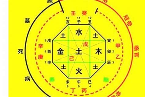 人的命|生辰八字算命、五行喜用神查询（免费测算）